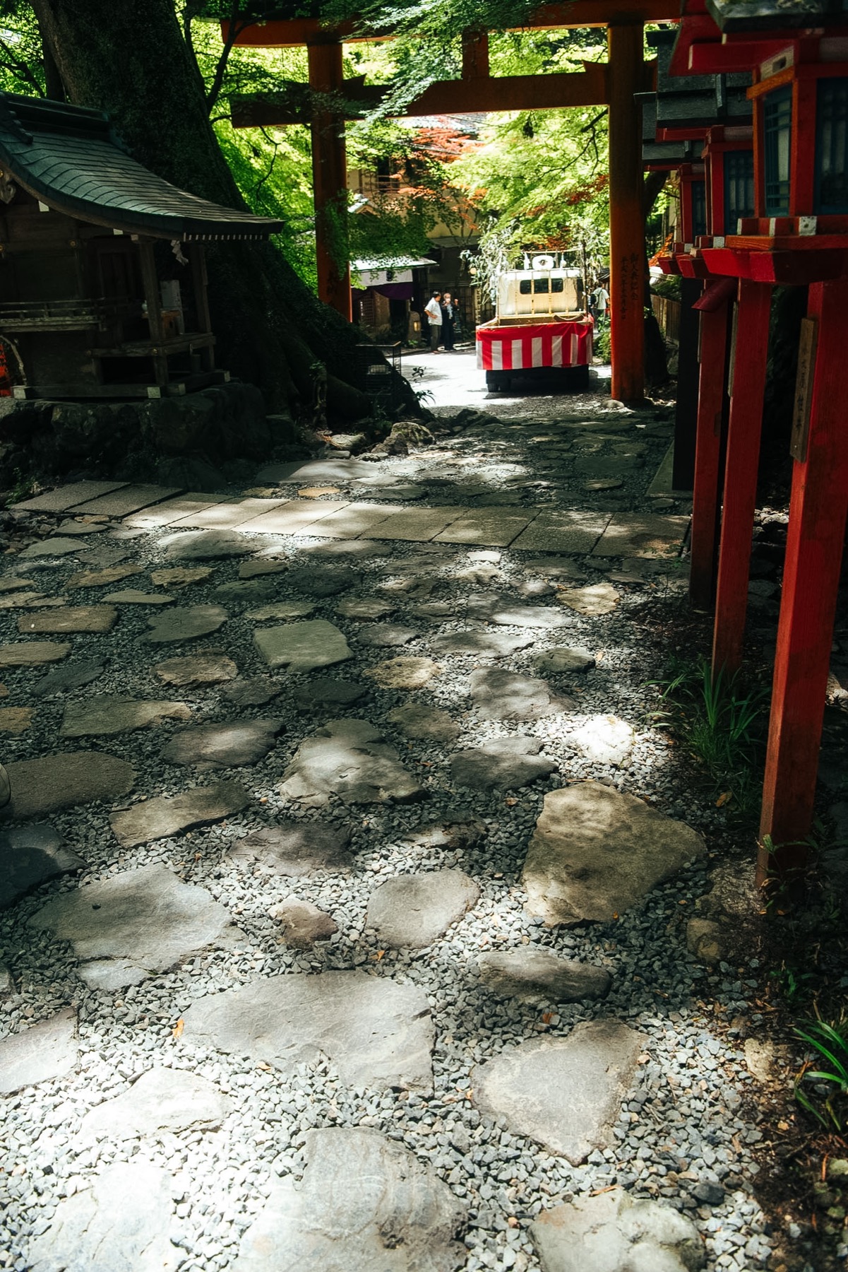 木洩れ日の差す、朱の鳥居と参道。