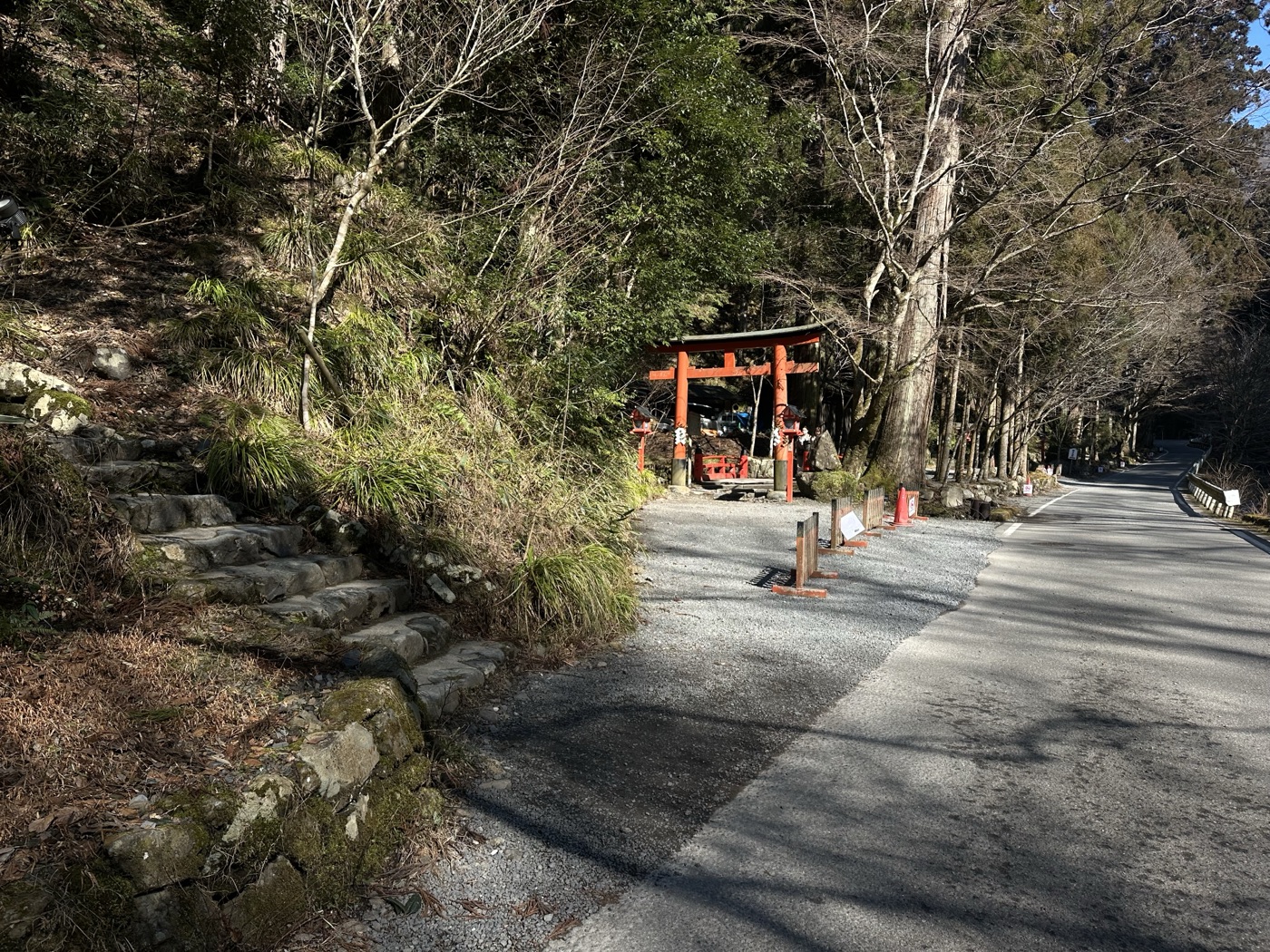 施工前、相生杉参道の入口（2025年3月）。